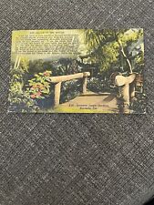 Linen postcard sarasota for sale  Lutz