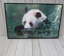 Professionally framed panda for sale  Powers