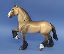 draft paint horse for sale  Bath