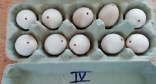 Ausgeblasene zwerghuhn eier gebraucht kaufen  Penzing