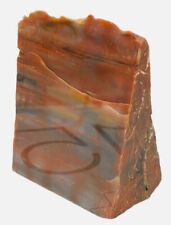 Polished petrified wood for sale  Citrus Heights