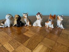 Hund hunde miniatur gebraucht kaufen  Mettingen