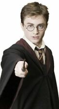 Harry potter costumes for sale  Fox Lake