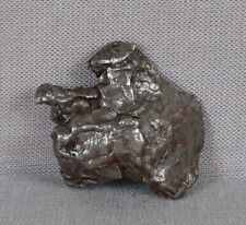 Sikhote alin meteorite for sale  Cambridge