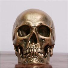 Estátua de osso cabeça 7,4" resina crânio humano modelo decoração modelo de ensino comprar usado  Enviando para Brazil