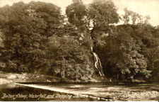 1910s postcard Waterfall and Stepping Stones Bolton Abbey SKIPTON Yorkshire for sale  Shipping to South Africa