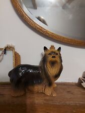 Yorkshire terrier dog for sale  BROSELEY