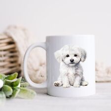 Bichon frise dog for sale  Shipping to Ireland