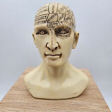 Design toscano phrenology for sale  West Chesterfield