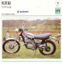 Suzuki 250 savage d'occasion  Cherbourg-Octeville-