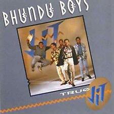 Bhundu boys true for sale  SWINDON