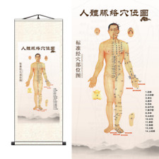 Usado, Mapa de meridiano do corpo humano, pergaminho de imagem de acupuntura e moxabustão comprar usado  Enviando para Brazil