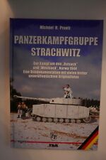 Panzerkampfgruppe strachwitz k gebraucht kaufen  Geesthacht