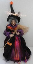 20" Fiber Optic Witch Halloween Decoration for sale  Henderson