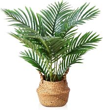 artificial palm trees for sale  Tomball