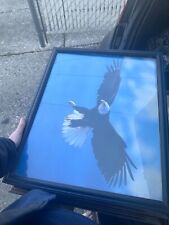 Bald eagle picture for sale  Henderson