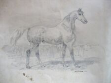 drawing horse for sale  Etna
