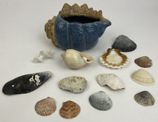 Sea shell blue for sale  Oceanside