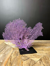 Gorgones violette socle d'occasion  Béziers