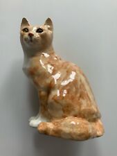 Winstanley cat ginger for sale  DONCASTER