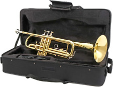 Trumpet bag lacquer for sale  EDGWARE