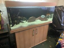 3ft fish tank for sale  MANCHESTER