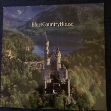Blur country house usato  San Dona Di Piave