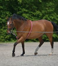 Equipride soft lunging for sale  LEEDS