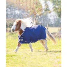 Shires mini foal for sale  East Kingston