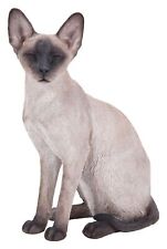 Cat siamese sitting for sale  Shipping to Ireland