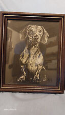Original dachshund dog for sale  CARLISLE