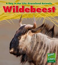 Wildebeest day life for sale  HAYWARDS HEATH
