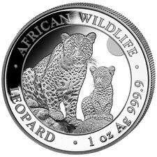 Silbermünze wildlife leopard gebraucht kaufen  Fürstenau