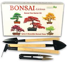 Bonsai tree kit. for sale  WOLVERHAMPTON