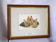 Yorkshire terriers framed for sale  SHEFFIELD