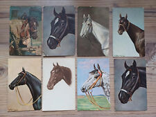 29x postkarten pferd gebraucht kaufen  Borna