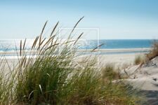 Fototapete strand meer gebraucht kaufen  , Melsdorf
