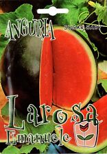Semi seeds anguria usato  Morra De Sanctis