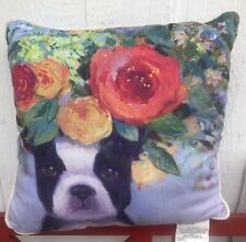 Dogs bloom boston for sale  Tucson