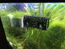Betta bed resting for sale  FORFAR