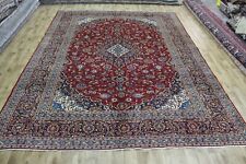 Good example persian for sale  MAIDENHEAD