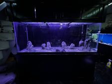 150 gallon marineland for sale  Philadelphia