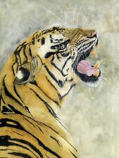 Tiger growling big for sale  YEOVIL