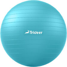 physical ball fitness therapy for sale  Russellville