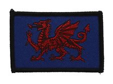 Gwent & Powys A.C.F. Adult Instructors & Officers Cloth Badge #11, used for sale  Shipping to South Africa