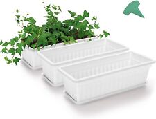 Confezione da 6 confezioni scatola finestra fiori bianchi GROWNEER 17" | Dischi fioriere per verdure in plastica, usato usato  Spedire a Italy