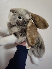 Holland lop bunny for sale  Black Creek