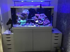 marine aquarium tank for sale marine aquarium tank for sale LIVERPOOL