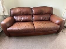 Large brown italian for sale  LINCOLN