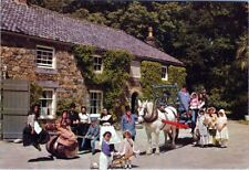 Postcard horse window for sale  UK